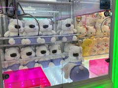 -PAWTOY爪e玩偶店(天兴罗斯福店)