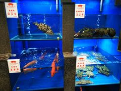 水产区-宁波状元楼酒店(和义路店)