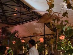 -不二·民谣音乐餐酒吧(九眼桥店)