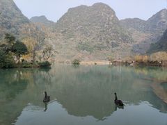 -靖西鹅泉风景区