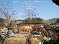 -福建土楼（华安）旅游区•大地土楼群