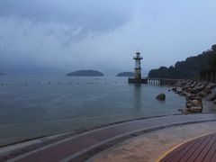 -逸廊大堂吧-下午茶·简餐-千岛湖自由洲际殿