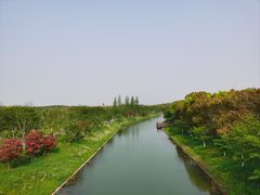 -上海海湾国家森林公园