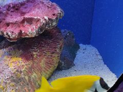 -上海海洋水族馆