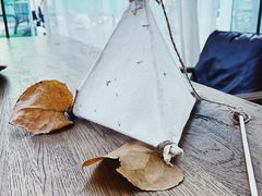 -合肥滨湖国家森林公园