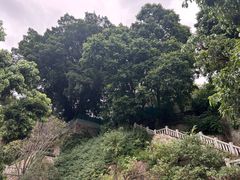 -乌山风景区