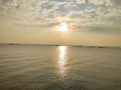 -芒洲湿地公园