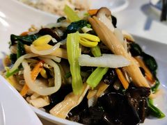 小雅素什锦-云中小雅