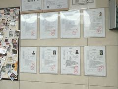 -半岛宠物医院24小时(白果林店)