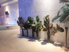 -水晶之星洗浴温泉汗蒸