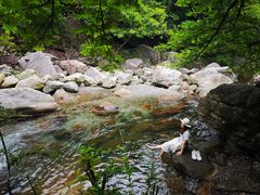 -鄣山大峡谷