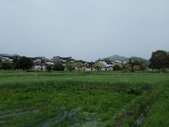 -张家港金凤凰度假村温泉