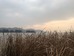 -东湖落雁景区