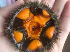 -海胆小馆(东北水饺·春柳店)