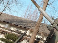 -枫泾古镇-人民公社旧址