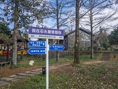 -四明山国家森林公园