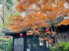 -亭林公园