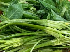 -草墩罗非鱼庄•野生菌•腊排骨(七星街上段店)