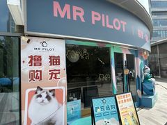 -飞行喵MR PILOT|猫舍·猫咖(静安大融城店)