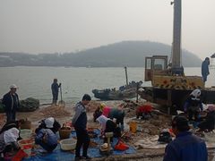 -青岛沙子口国家中心渔港