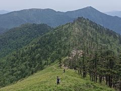 -秦岭风景区