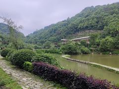 -桃花岭景区