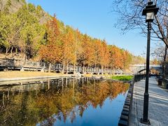 -白水寺森林公园
