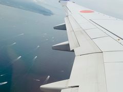 -全日本空输株式会社(上海办事处)