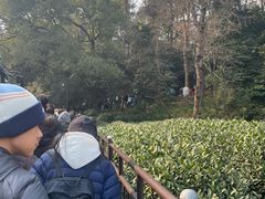 -灵顺寺