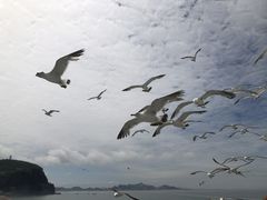 -海驴岛(荣成市)