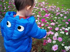 -艾溪湖湿地公园