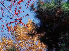 -长春公园(普阳街道)