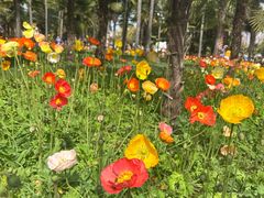 -翠湖公园