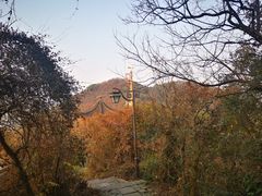 -杭州半山国家森林公园