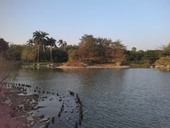-海珠湖公园