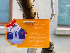 -上海闵行区万科双语学校