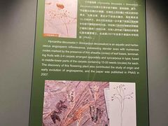 -辽宁古生物博物馆