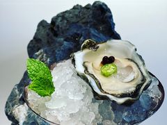 -Oyster Talks 四度蚝法餐厅