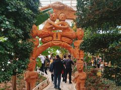 -石家庄市植物园