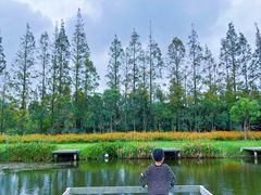 -前小桔亲子创意农场·草莓采摘·露营烧烤