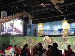 -国家自然博物馆