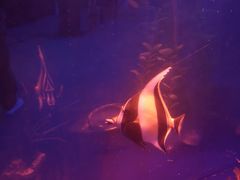 -青岛海底世界-水族馆