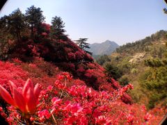 -木兰云雾山