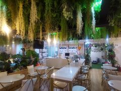 -Husky Go! 哈士奇体验馆·宠物咖啡厅狗咖