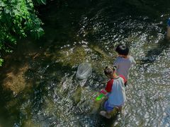 -重庆彩云湖湿地公园