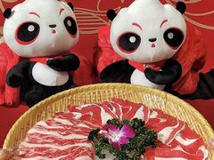 -蜀大侠火锅(总府路店)