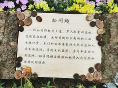 -南宁南湖公园