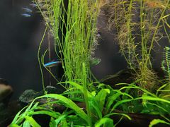 -上海海洋水族馆