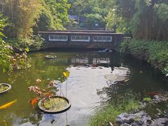 -东莞植物园