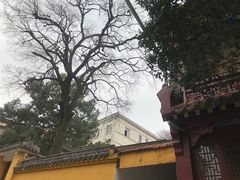 -宝通禅寺
